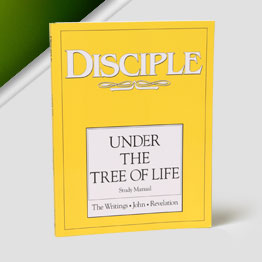 Disciple IV