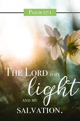 Picture of My Light Bulletin (Pkg 100) General Worship