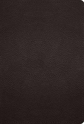 Picture of ESV Large Print Compact Bible (Buffalo Leather, Deep Brown)