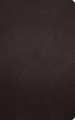 Picture of ESV Large Print Personal Size Bible (Buffalo Leather, Deep Brown)