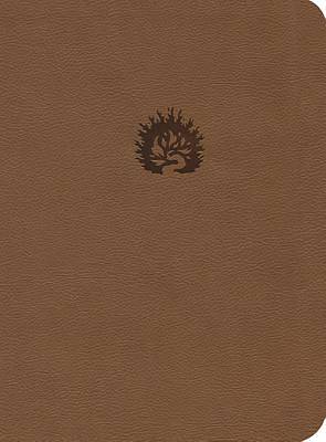 Picture of Reformation Study Bible NKJV