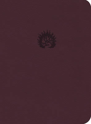 Picture of Lbla La Biblia de Estudio de la Reforma, Símil Piel, Ciruela, Spanish Edition