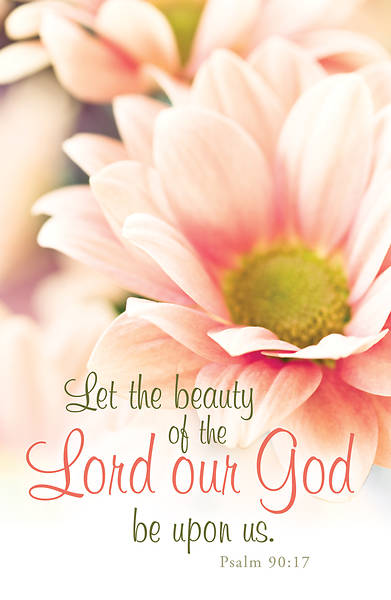 Picture of Let the Beauty All Occasion Postcards