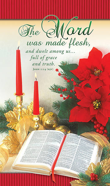 Banner The Word Was Made Flesh 3 x 5 Vinyl