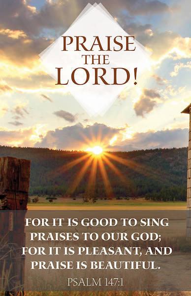 Picture of Praise To God General Regular Size Bulletin