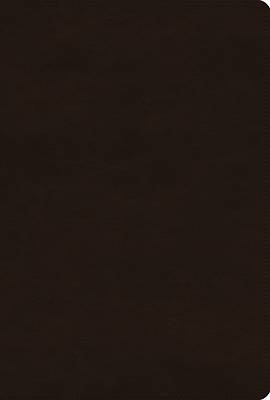 Picture of ESV Women's Study Bible (Trutone, Deep Brown)