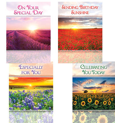 Birthday Sunshine Birthday Cards - Box of 12