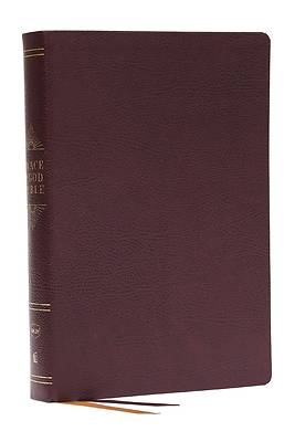 Picture of Peace of God Bible