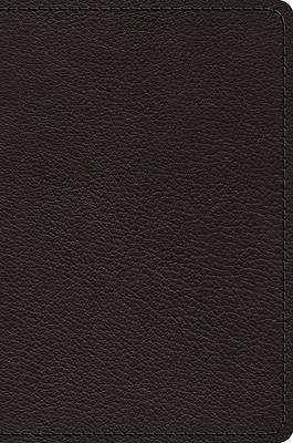 Picture of ESV Preaching Bible, Verse-By-Verse Edition (Goatskin, Black)