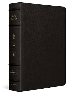 Picture of ESV Study Bible, Large Print (Buffalo Leather, Deep Brown)