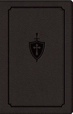 Picture of Manual for Conquering Deadly Sin