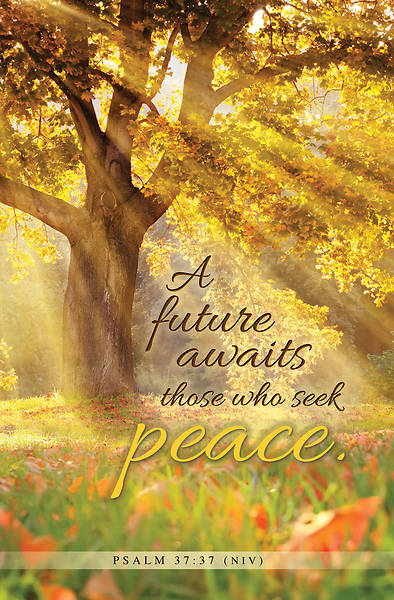 A Future Awaits Peace Bulletin