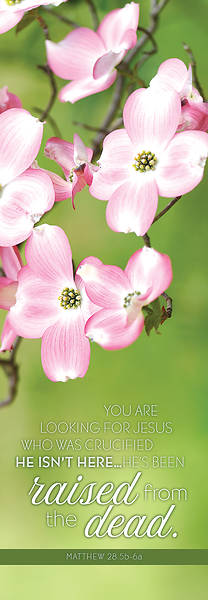 Picture of You Are Looking for Jesus Banner 2 x 6 Fabric