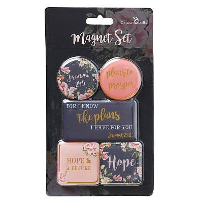 Picture of Magnet Set Plans to Prosper