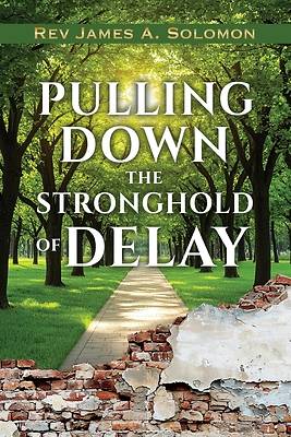 Picture of PULLING DOWN the STRONGHOLD of DELAY