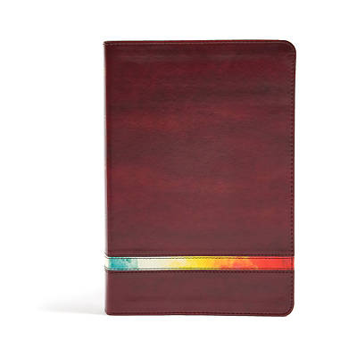 Picture of NIV Rainbow Study Bible, Maroon Leathertouch