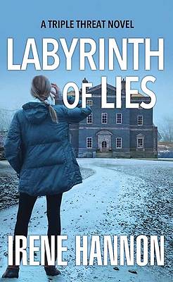 Picture of Labyrinth of Lies