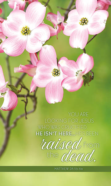 You Are Looking for Jesus Banner 3 x 5 Fabric