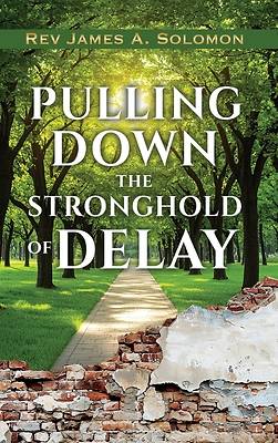 Picture of PULLING DOWN the STRONGHOLD of DELAY
