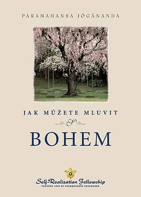 Picture of Jak můzete mluvit s Bohem (How You Can Talk With God--Czech)