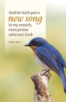 Picture of General Worship Bulletin