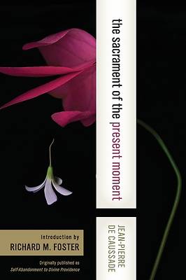 Picture of The Sacrament of the Present Moment