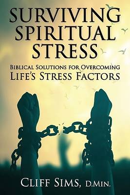 Picture of Surviving Spiritual Stress