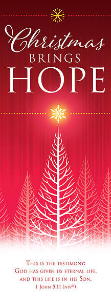 Christmas Brings Hope 2' x 6' Vinyl Banner 1 John 5:11 NIV