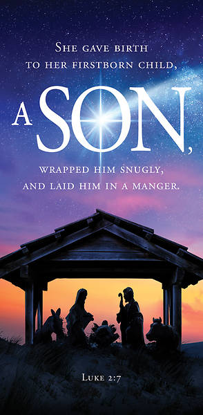 Picture of A Son Nativity Christmas Offering Envelope (Pkg of 50)