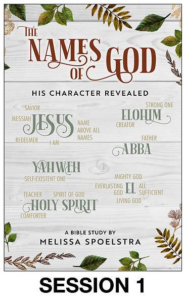 Picture of The Names of God - Women's Bible Study Streaming Video Session 1
