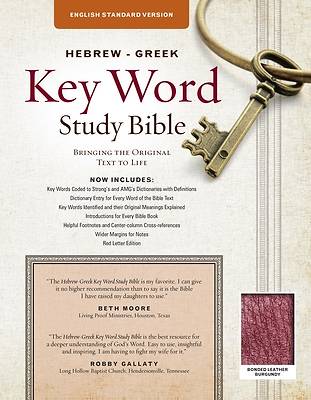 Picture of The Hebrew-Greek Key Word Study Bible