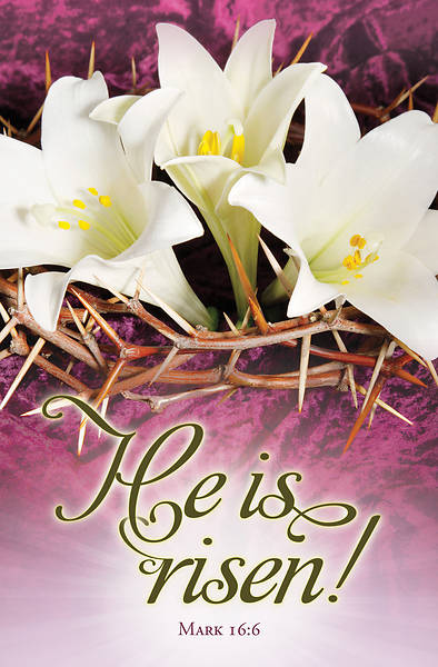Picture of He is Risen Easter Regular Size Bulletin