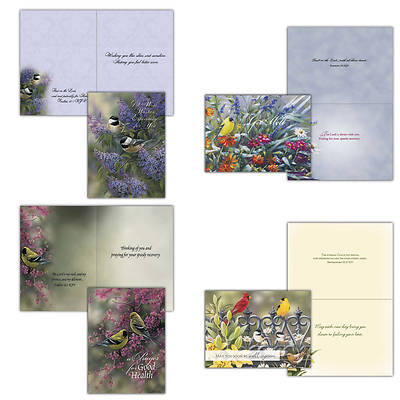 Songbirds Get Well Boxed Cards - Box of 12