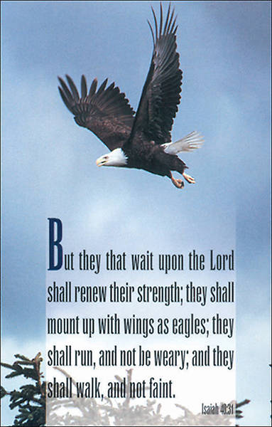 Picture of Eagle Postcard - Pack of 25