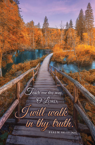 Give Thanks at the Remembrance Insp Bulletin