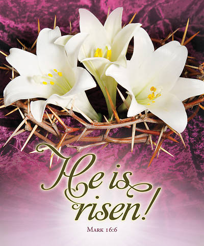 Picture of He is Risen Easter Legal Size Bulletin