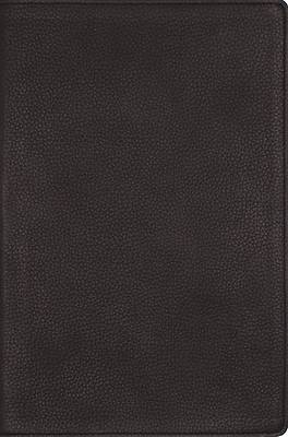 Nrsvue, Single-Column Reference Bible, Genuine Calfskin Leather, Black, Art Gilded Edges, Comfort Print