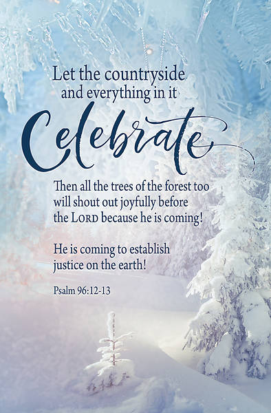 Picture of Celebrate Winter Bulletin (Pkg of 50)