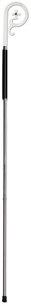 Picture of Stainless Steel Crozier