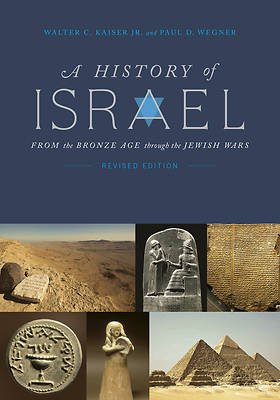 Picture of A History of Israel