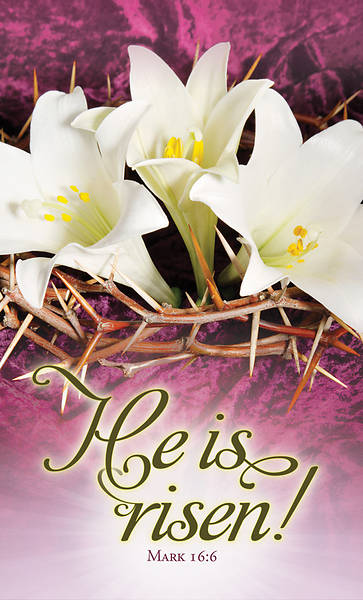 Picture of He is Risen Easter Announcement Folder