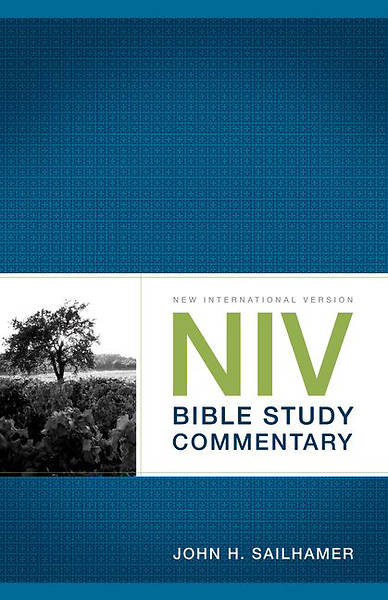 Picture of New International Version  Bible Study Commentary