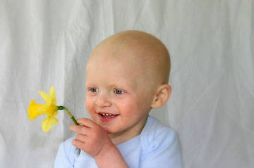 Picture of Infusion Bible eStudies: Why Do We Suffer?