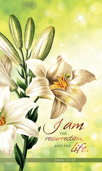 Picture of I Am The Resurrection And The Life 3' x 5' Banner