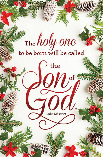Picture of The Son of God Christmas Regular Size Bulletin