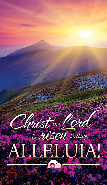 Christ the Lord is Risen Today Banner 3 x 5 Vinyl