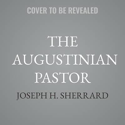 Picture of The Augustinian Pastor