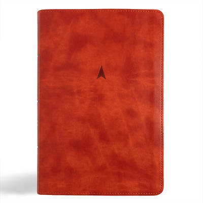 Picture of CSB Church Bible, Anglicised Edition, British Tan Leathertouch