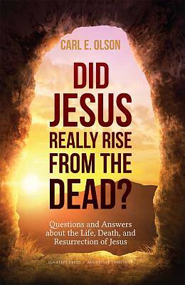 Picture of Did Jesus Really Rise from the Dead?
