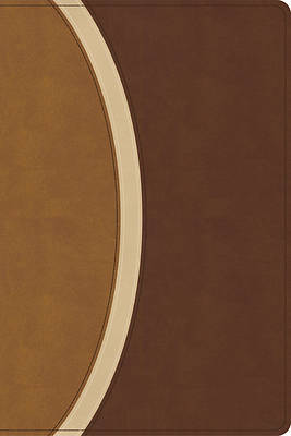 CSB Rainbow Study Bible, Brown Leathertouch (Limited Edition)